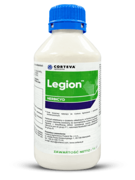 Legion/1L