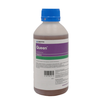 Queen_1L