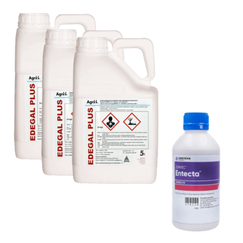 Zestaw ZEEP: Zorvec Enicade_1Lx1 + Edegal Plus_5Lx3